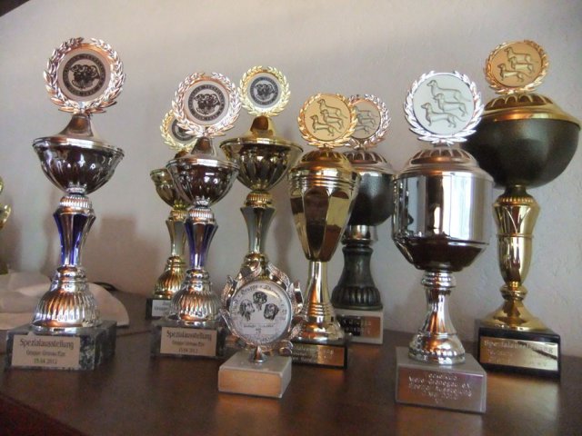 Pokale